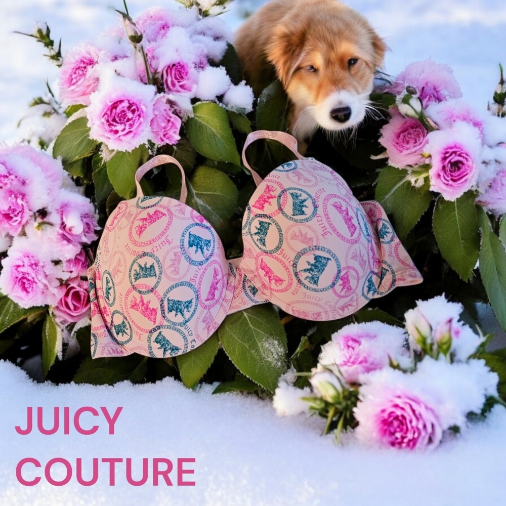 Nwot Juicy Couture Limited 3PK Women's Multicolor Push-up Bras